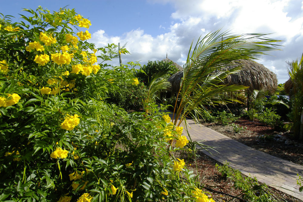 Kura Hulanda Lodge & Beach Club Westpunt ภายนอก รูปภาพ